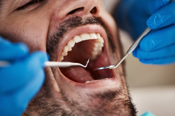Professional Holistic Dental Care Services in Cross Roads, TX